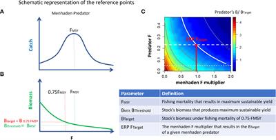 Identifying trade-offs and reference points in support of ecosystem approaches to managing Gulf of Mexico menhaden